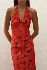 Rosa Maxi Dress Pirazzo Floral Rosso - Final Sale
