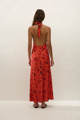 Rosa Maxi Dress Pirazzo Floral Rosso - Final Sale