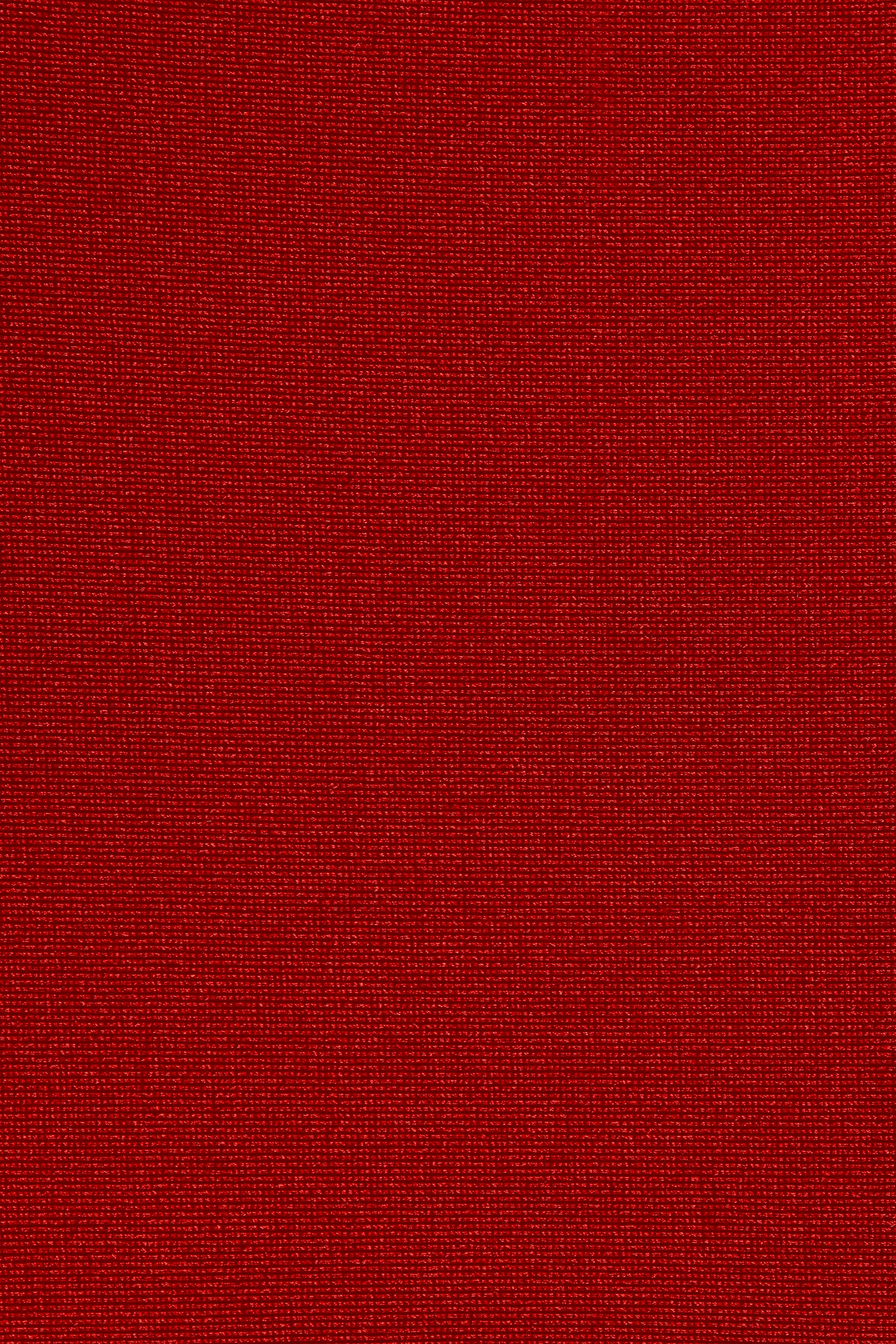 Alma Bikini Bottom Scarlet