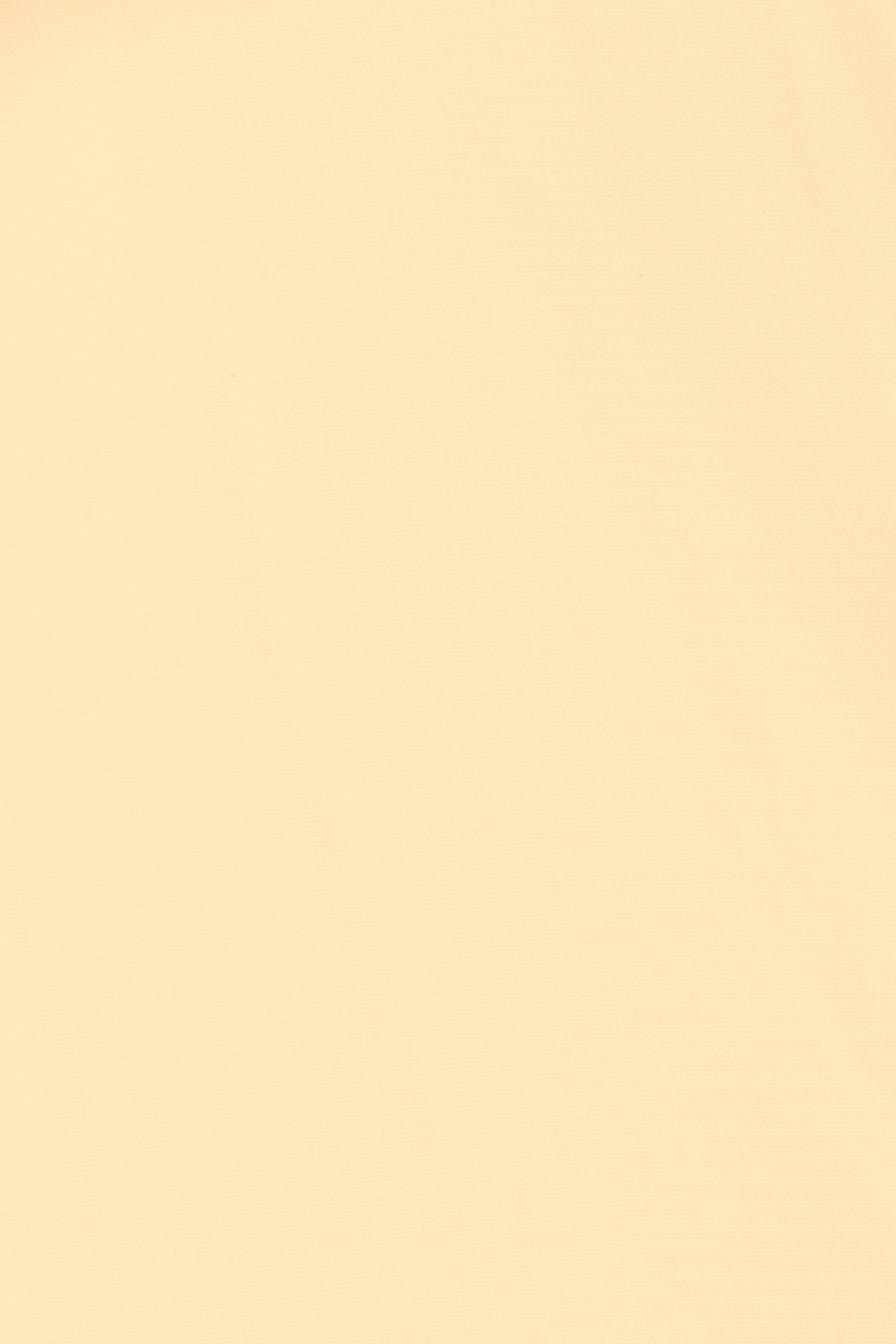 Andez Bikini Bottom Buttermilk - Final Sale