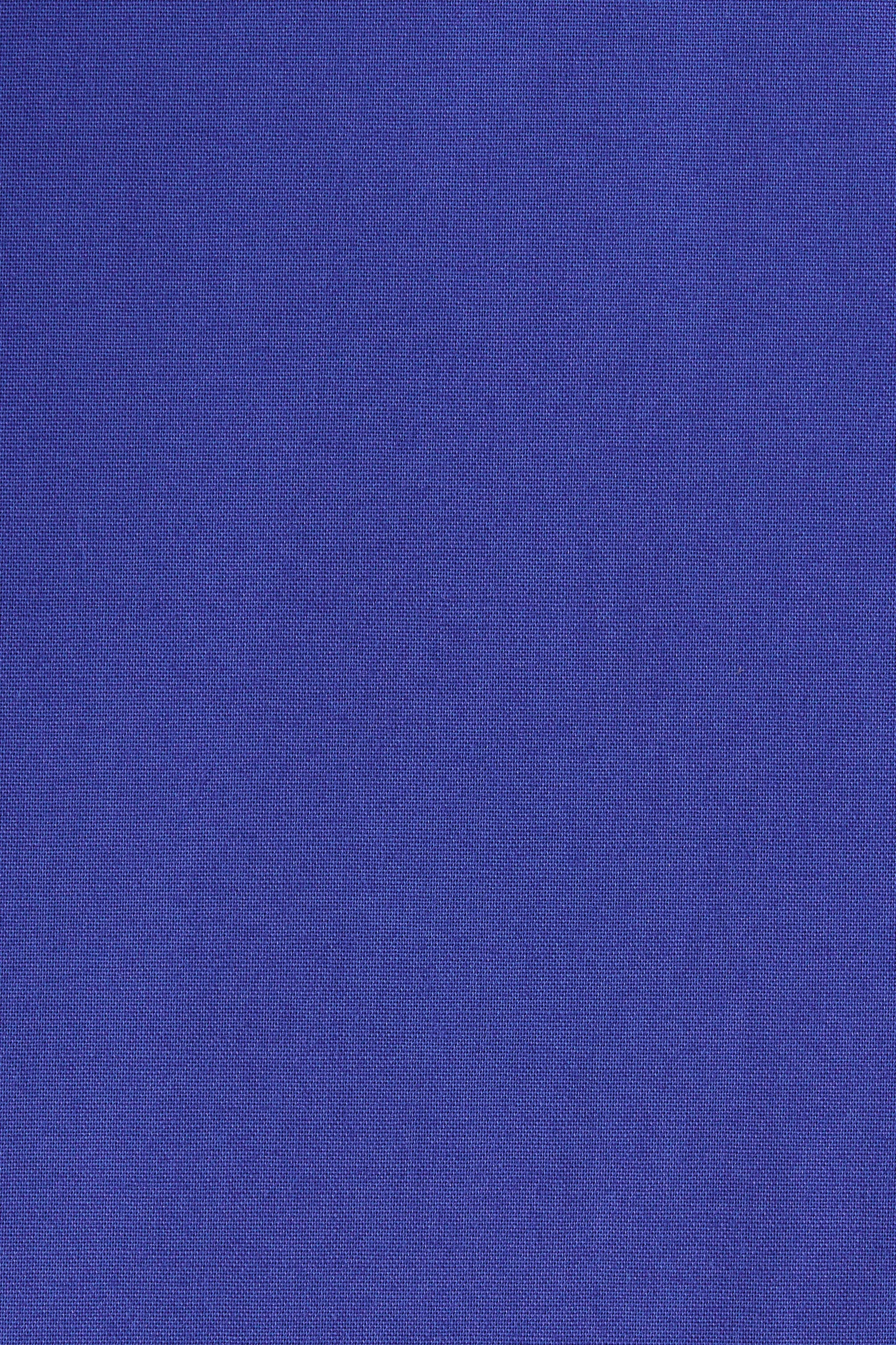 Clemente Short Cobalt